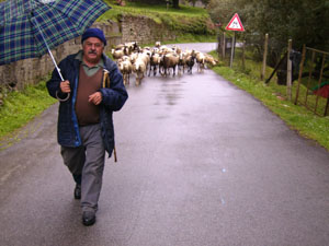 Straßen im Cilento - Copyright Thomas Marx