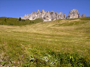 grandiose Dolomiten